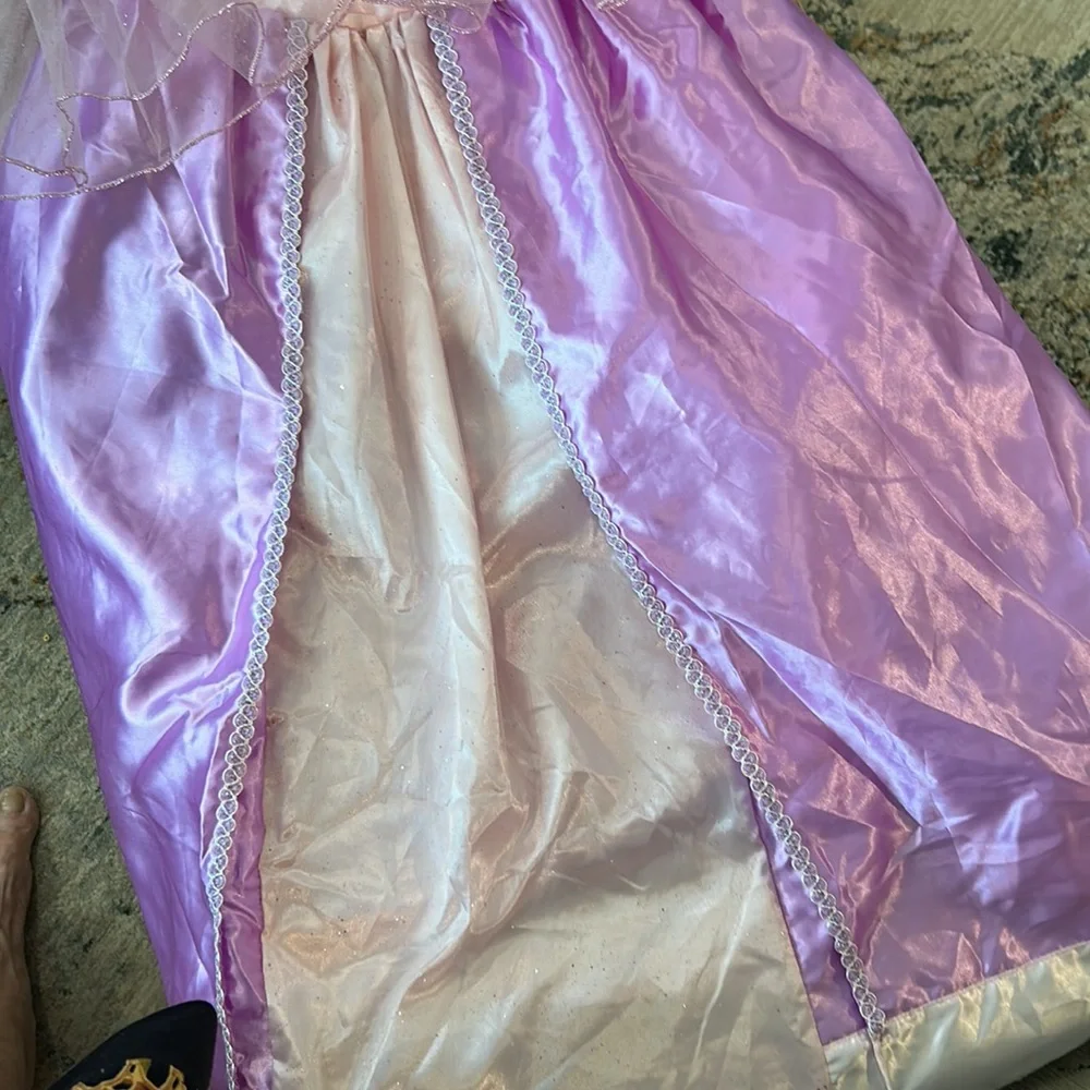 Disney’s Rapunzel size 10 costume from tangled she pretty roses on sleeves
